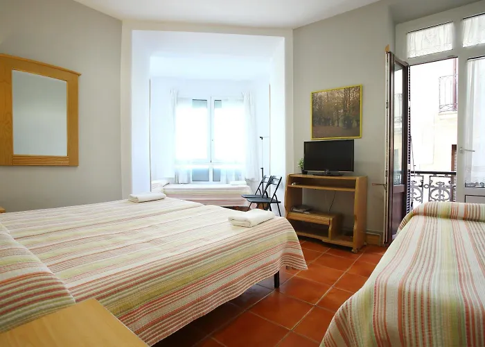 Hôtel accueillant les animaux: Pension San Telmo / San Juan